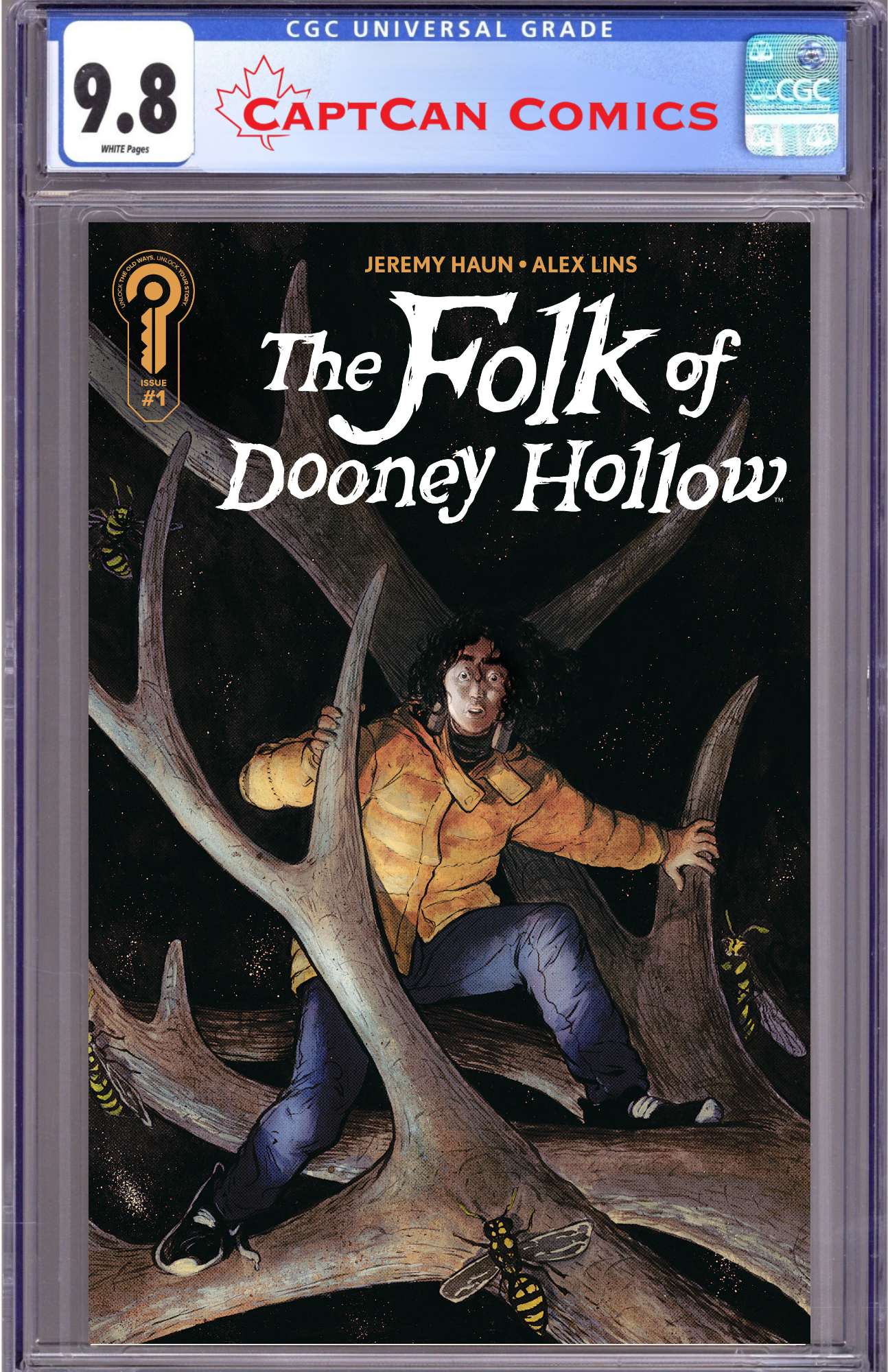 FOLK OF DOONEY HOLLOW #1 COVER B LINS