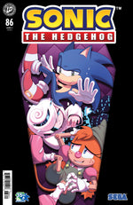 SONIC THE HEDGEHOG #86 VARIANT B (WASCHK) thumbnail