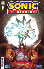 SONIC THE HEDGEHOG #89 COVER A (ARQ) thumbnail