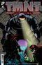 TMNT: JOURNEYS