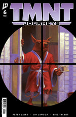 TMNT: JOURNEYS #6 COVER A (DOONEY & LAWSON) thumbnail