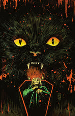 STUFF OF NIGHTMARES: THE CAT IN THE COFFIN #1 D GLOW IN THE DARK VARIANT (FULL ART, FRANCAVILLA) thumbnail