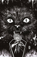STUFF OF NIGHTMARES: THE CAT IN THE COFFIN #1 I UNLIMITED VARIANT (FULL ART, FRANCAVILLA) thumbnail