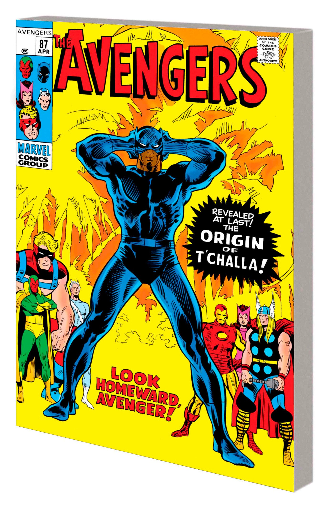 MIGHTY MARVEL MASTERWORKS: THE BLACK PANTHER VOL. 2 - LOOK HOMEWARD [DM ONLY] TPB