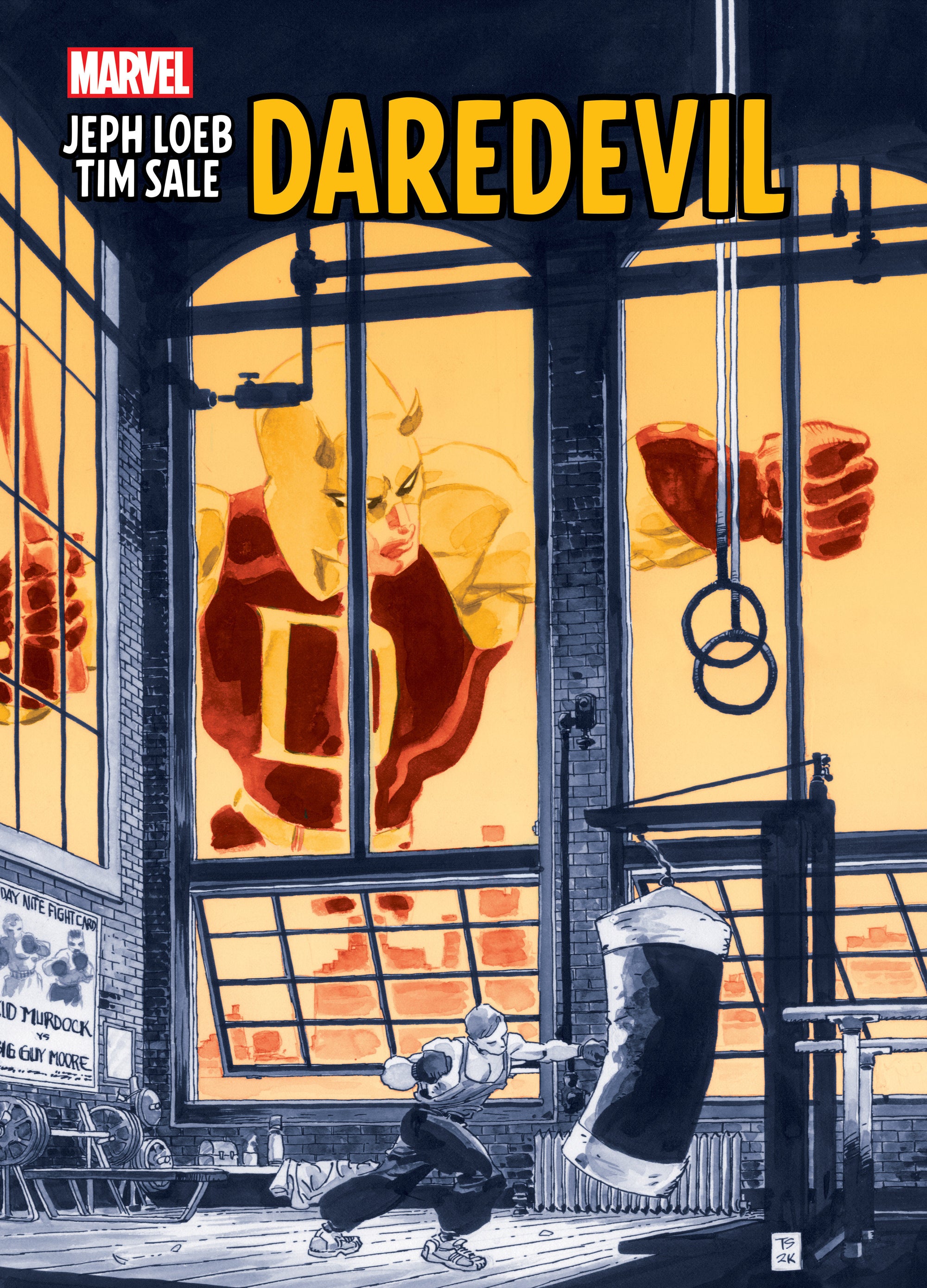 JEPH LOEB & TIM SALE: DAREDEVIL GALLERY EDITION HC