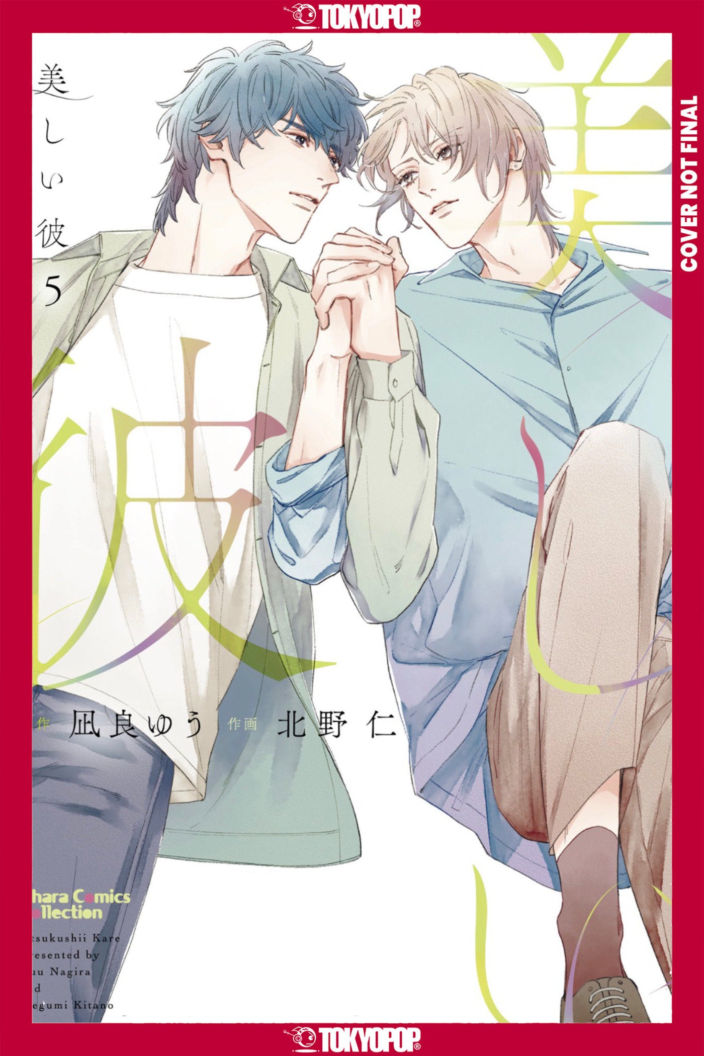 MY BEAUTIFUL MAN, VOLUME 5 (MANGA) TPB