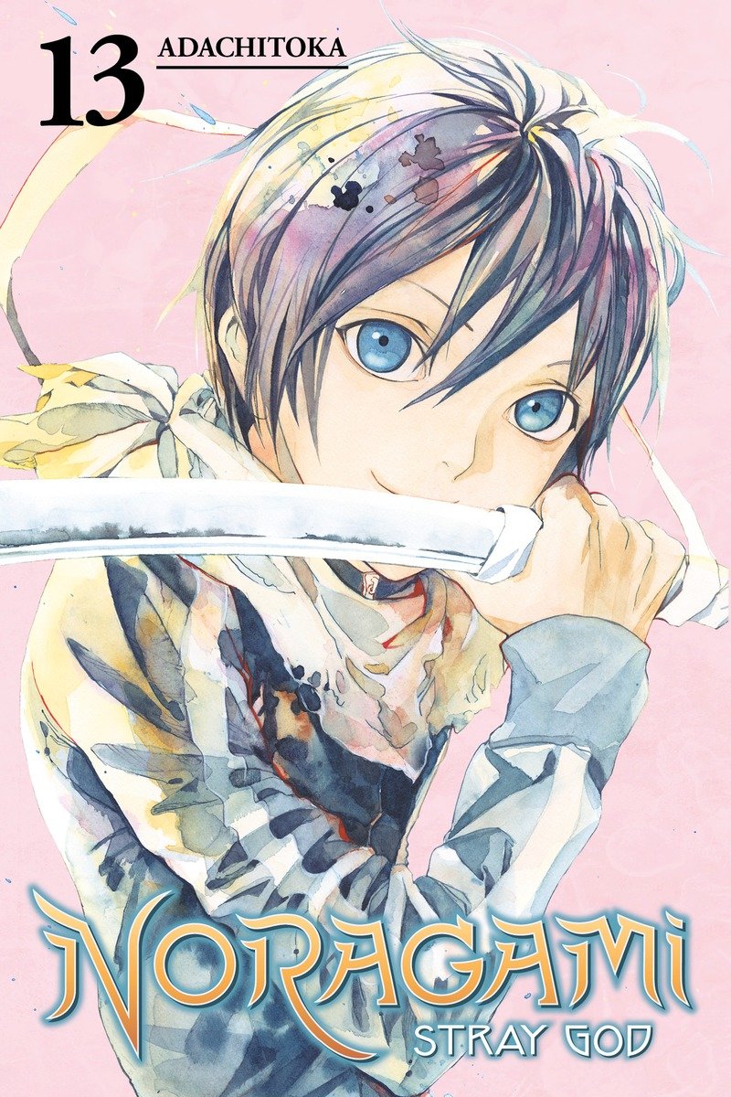 Noragami: Stray God 13 TPBMR