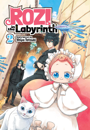 Rozi in the Labyrinth Vol. 2 TPBMR