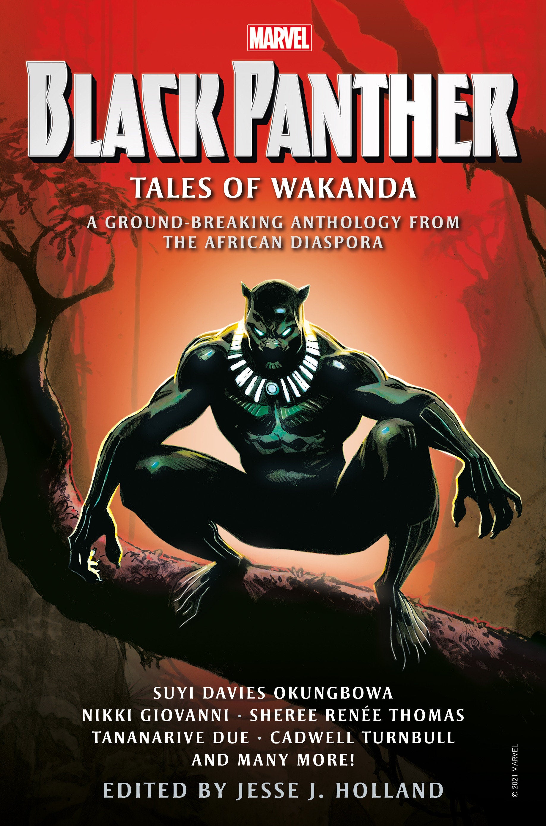 Black Panther: Tales of Wakanda HC