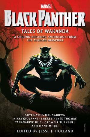 Black Panther: Tales of Wakanda HC