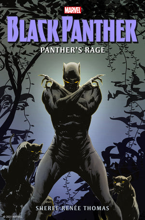 Black Panther: Panther's Rage HC