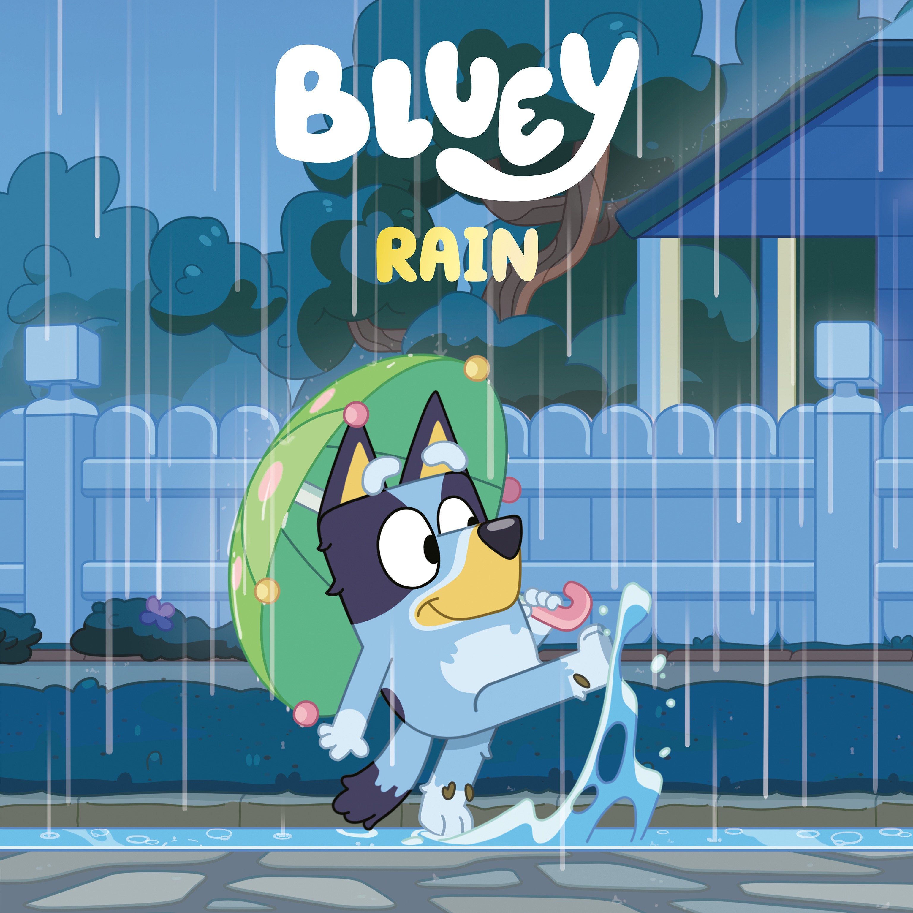 BLUEY: RAIN