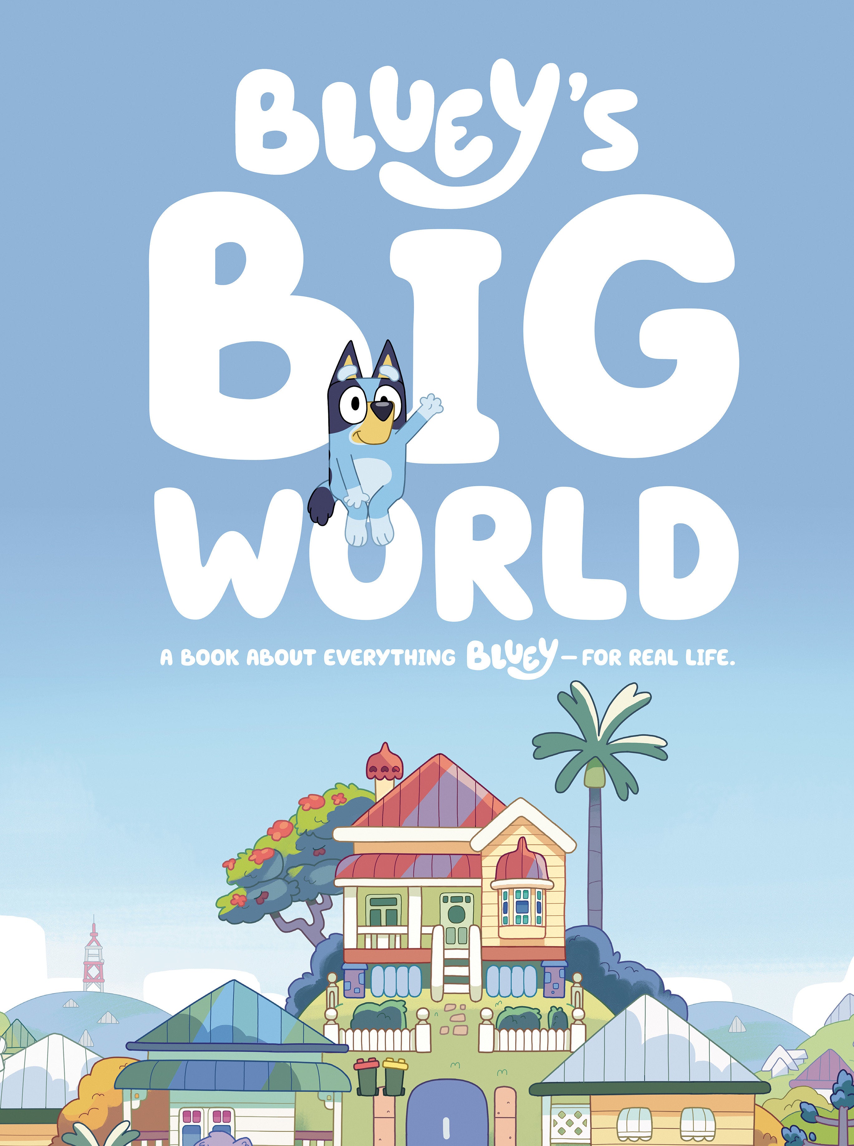 BLUEY'S BIG WORLD