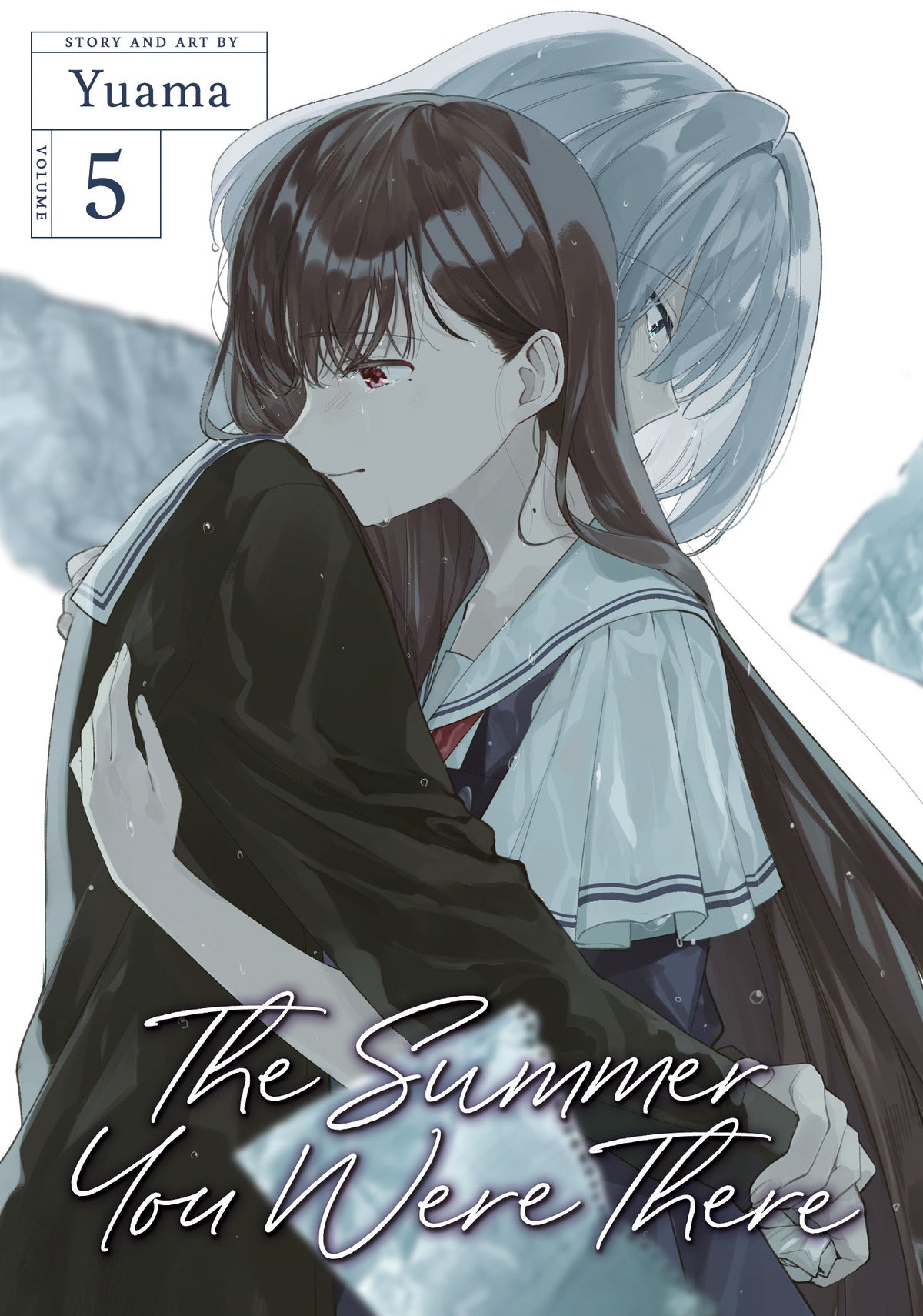 The Summer You Were There Vol. 5 TPB