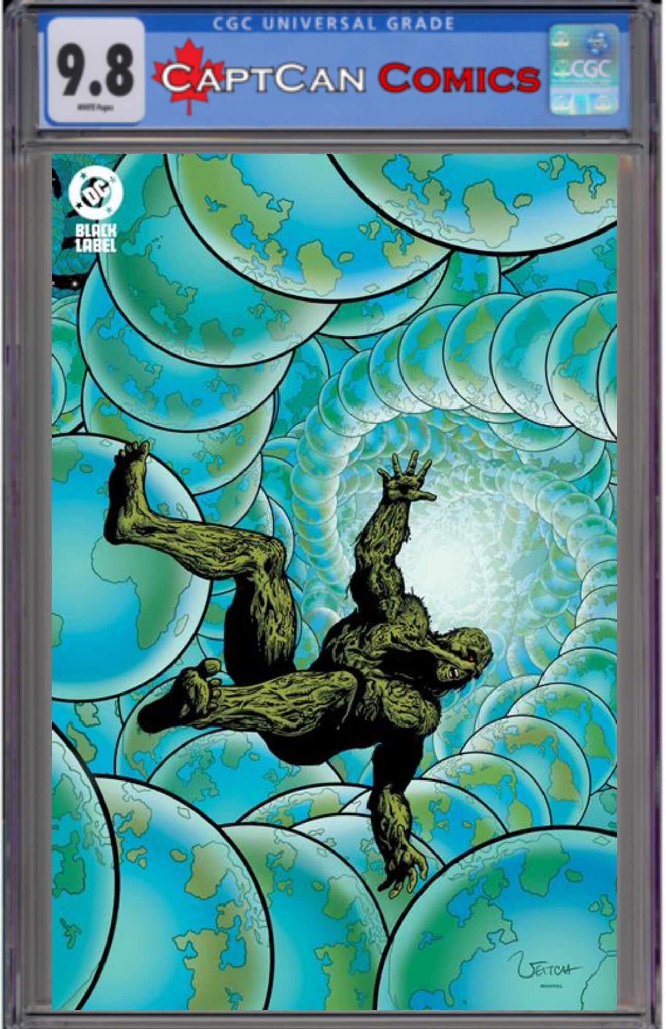 SWAMP THING 1989 #2 (OF 4) CVR B RICK VEITCH FOIL VAR (MR)