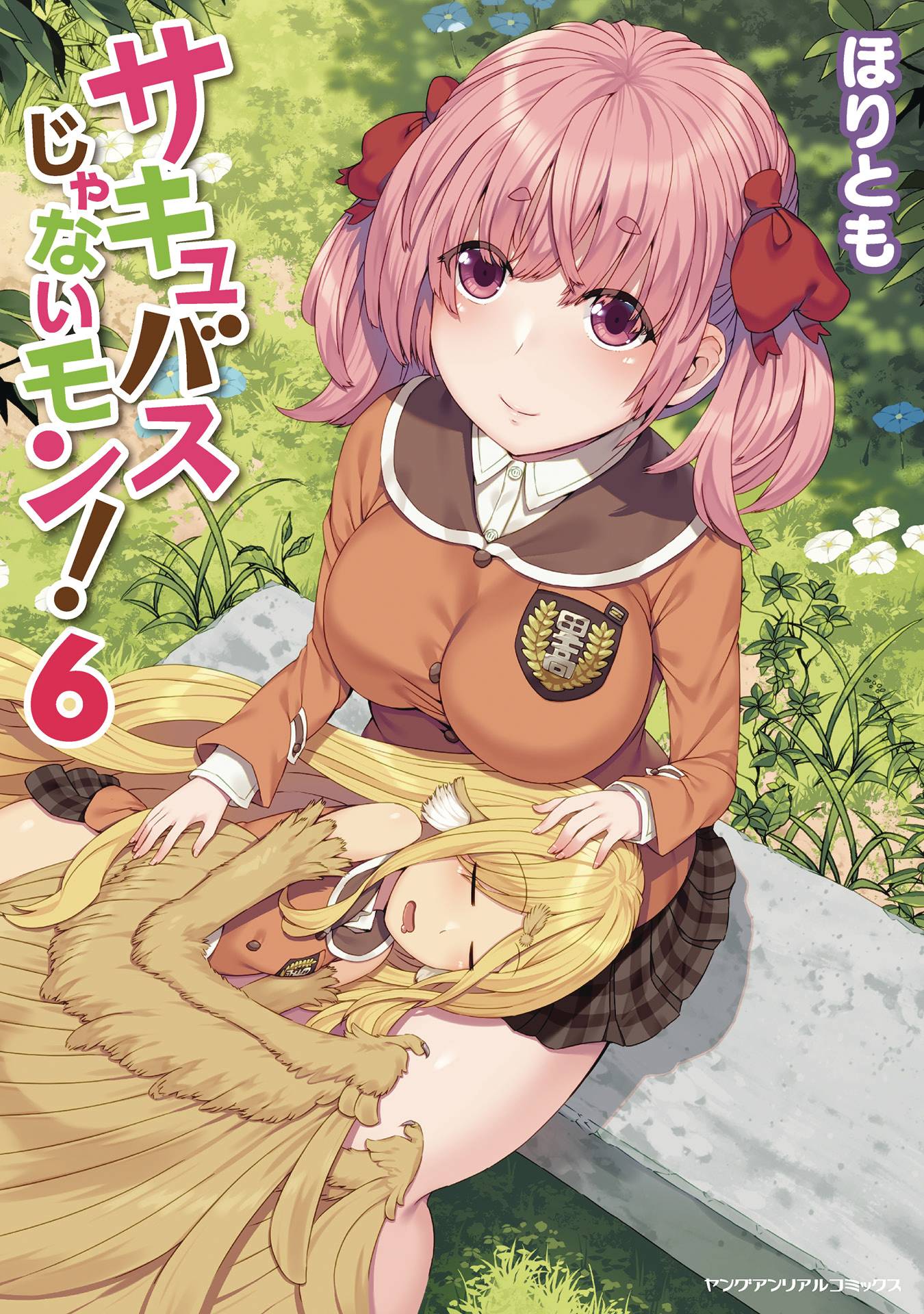 I AM NOT A SUCCUBUS GN VOL 06 (MR) (C: 0-1-0)