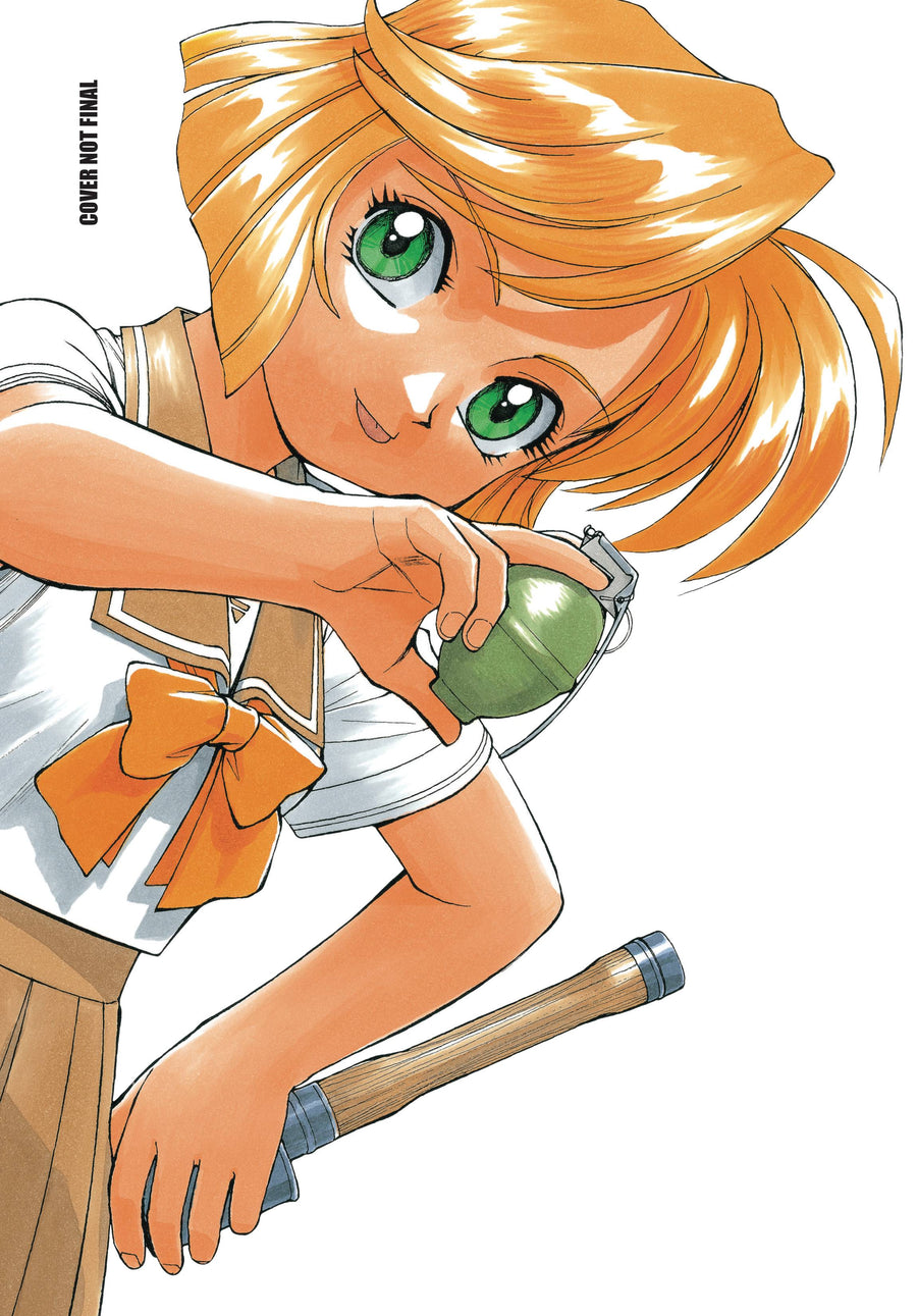 GUNSMITH CATS OMNIBUS GN VOL 02 (MR) (C: 0-1-2)