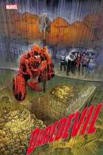DAREDEVIL #19 thumbnail