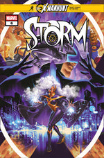 STORM #6 thumbnail