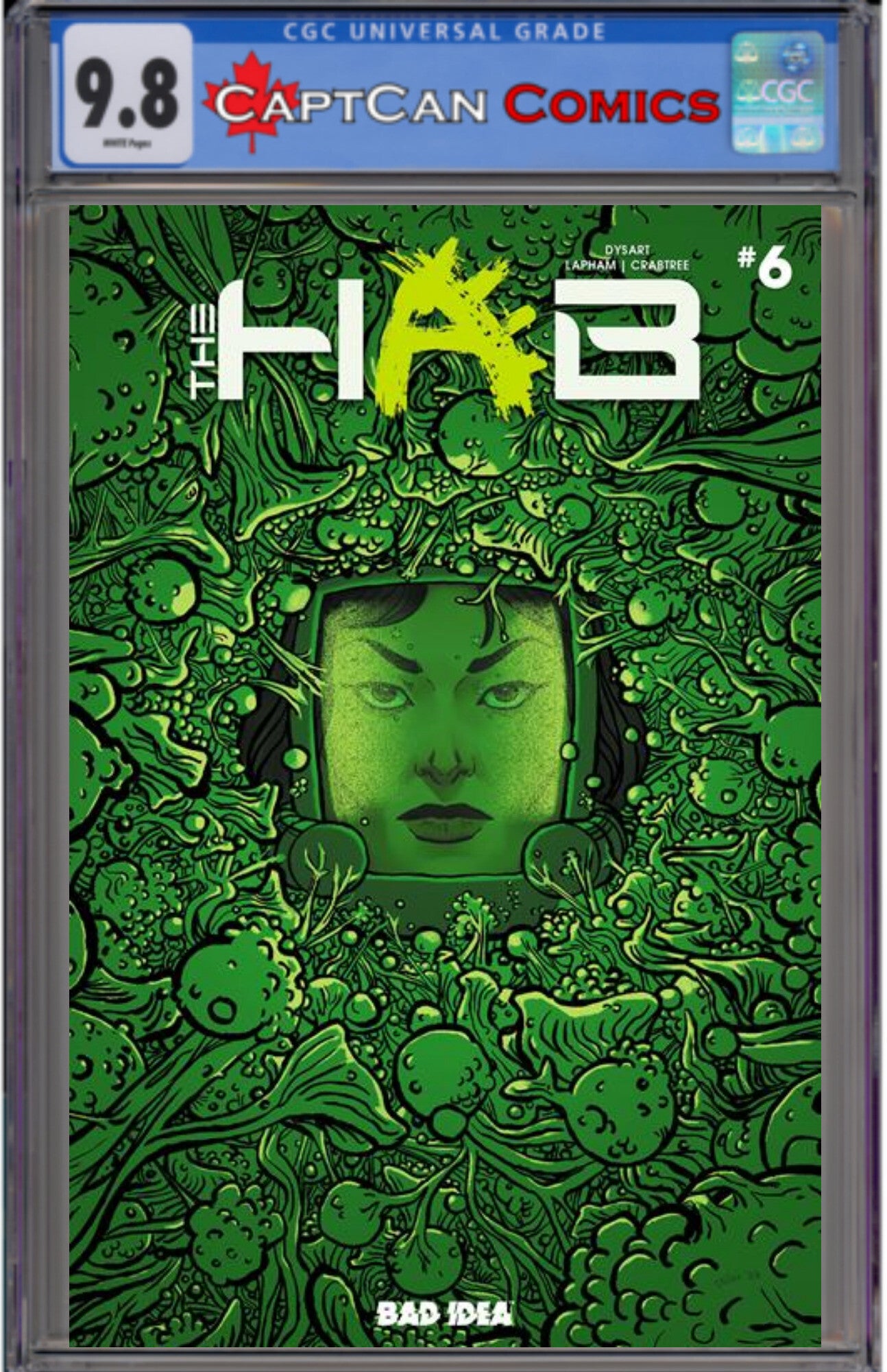 HAB #6 (OF 6) CVR A CHLOE BRAILSFORD