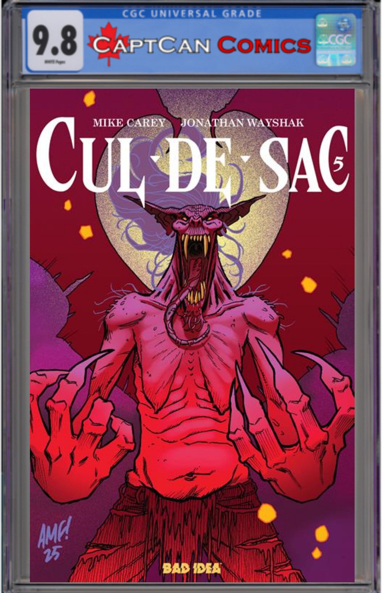 CUL DE SAC #5 (OF 5) CVR B TONY FLEECS CURSED MIRROR VAR