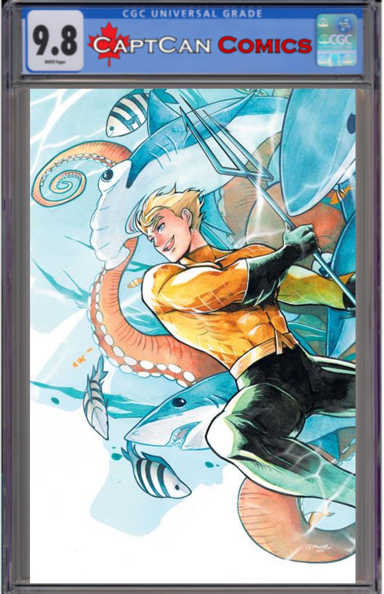 AQUAMAN #14 CVR D SAOWEE CARD STOCK VAR