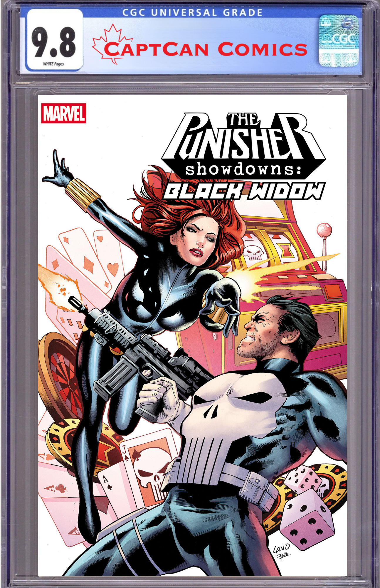 PUNISHER SHOWDOWNS: BLACK WIDOW #1
