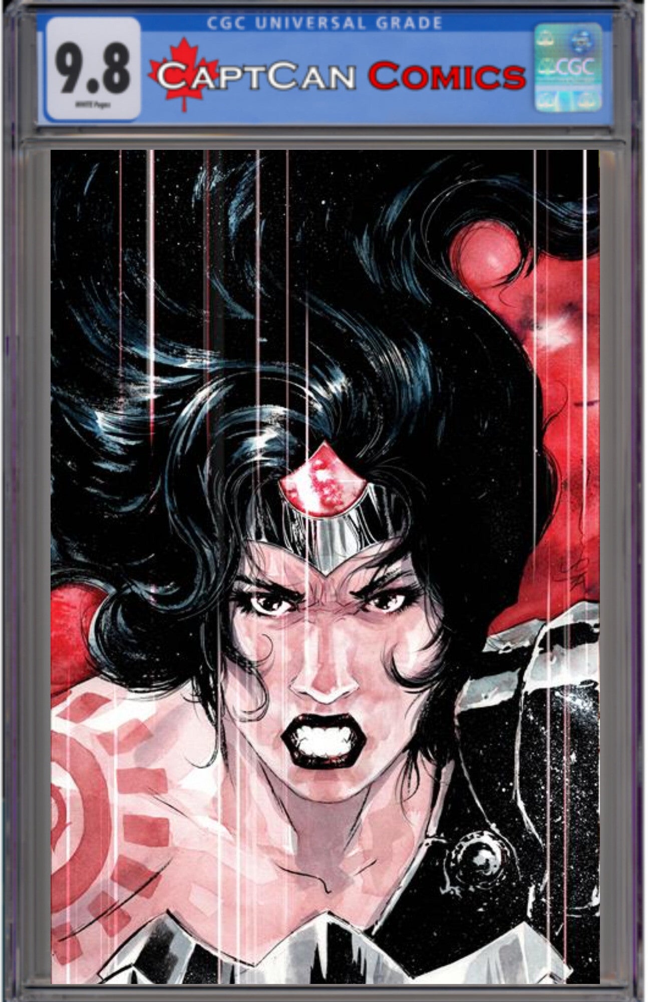 ABSOLUTE WONDER WOMAN #14 CVR D DUSTIN NGUYEN CARD STOCK VAR