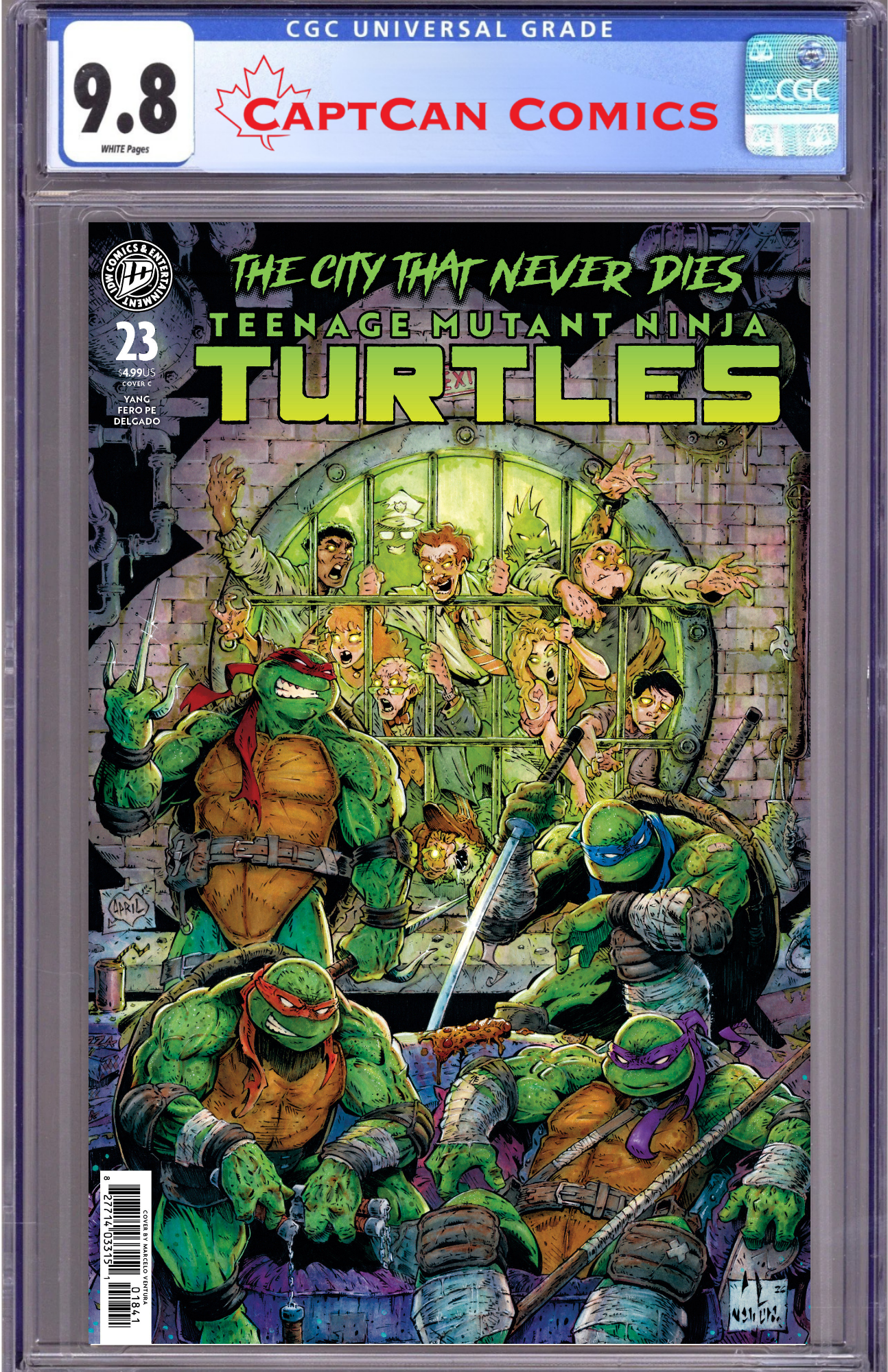 TEENAGE MUTANT NINJA TURTLES #23 VARIANT C (VENTURA)