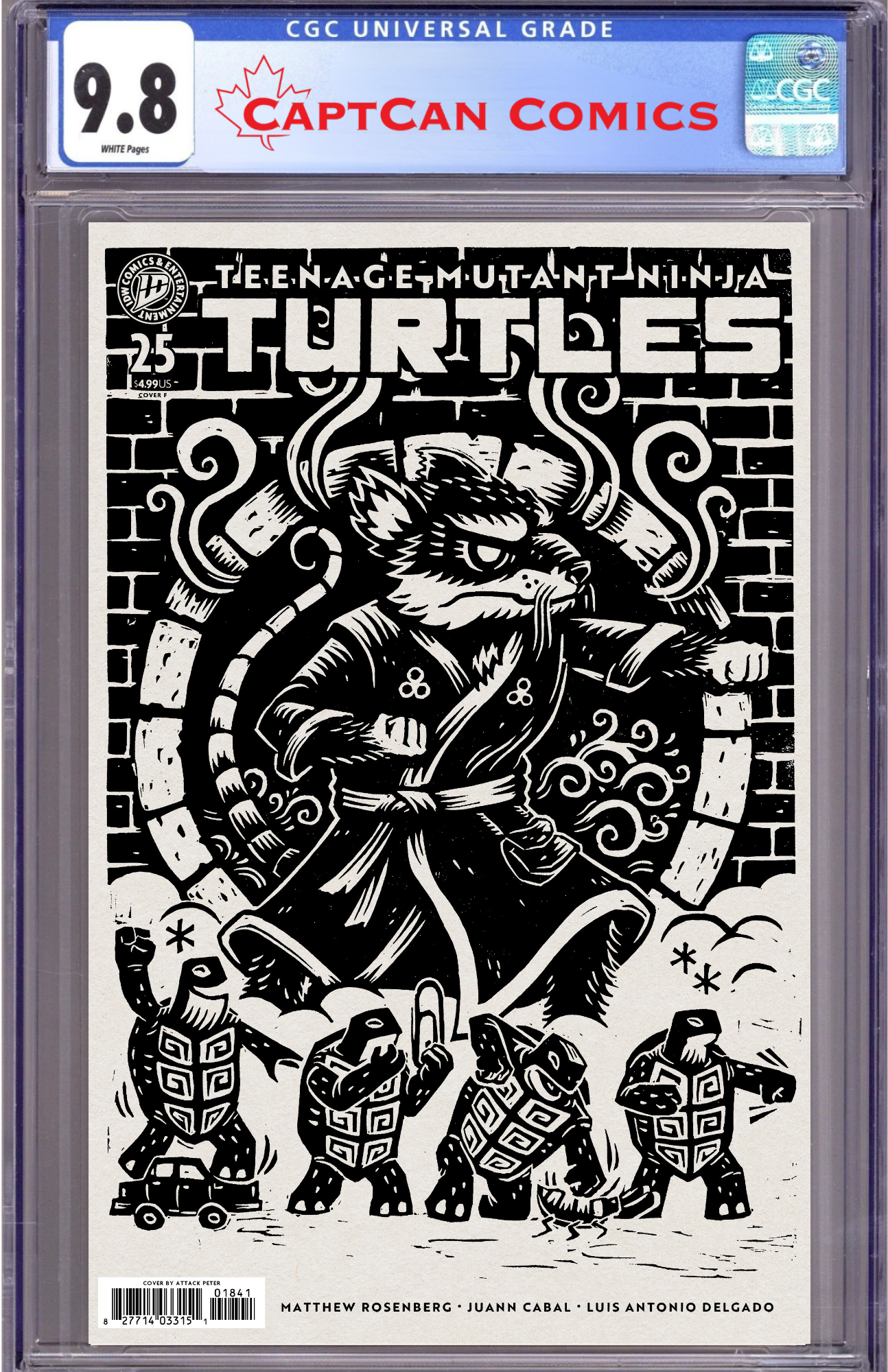 TEENAGE MUTANT NINJA TURTLES #25 VARIANT F (ATTACK PETER)