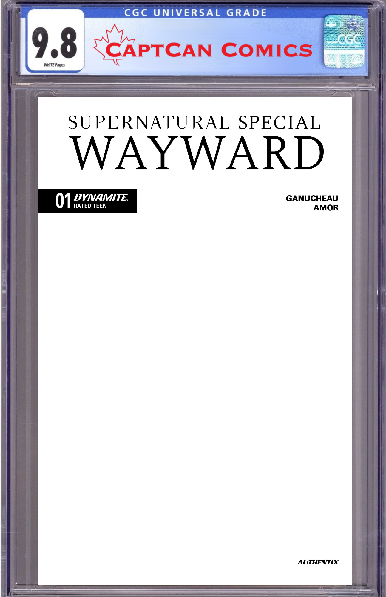 SUPERNATURAL WAYWARD SPECIAL #1 (ONE SHOT) CVR D BLANK AUTHENTIX VAR