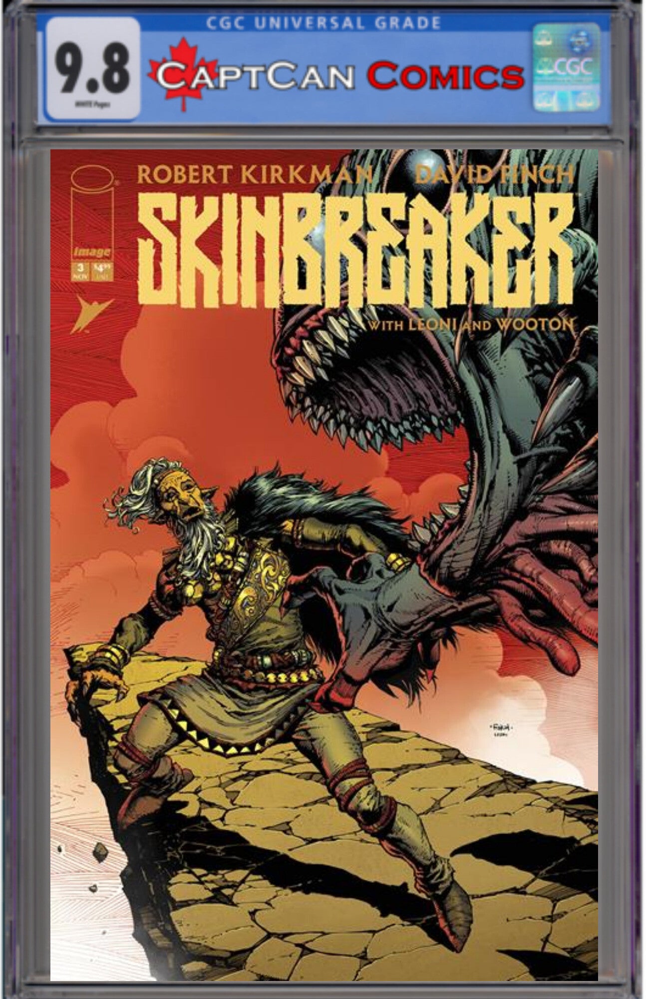 SKINBREAKER #3 CVR A DAVID FINCH & ANNALISA LEONI