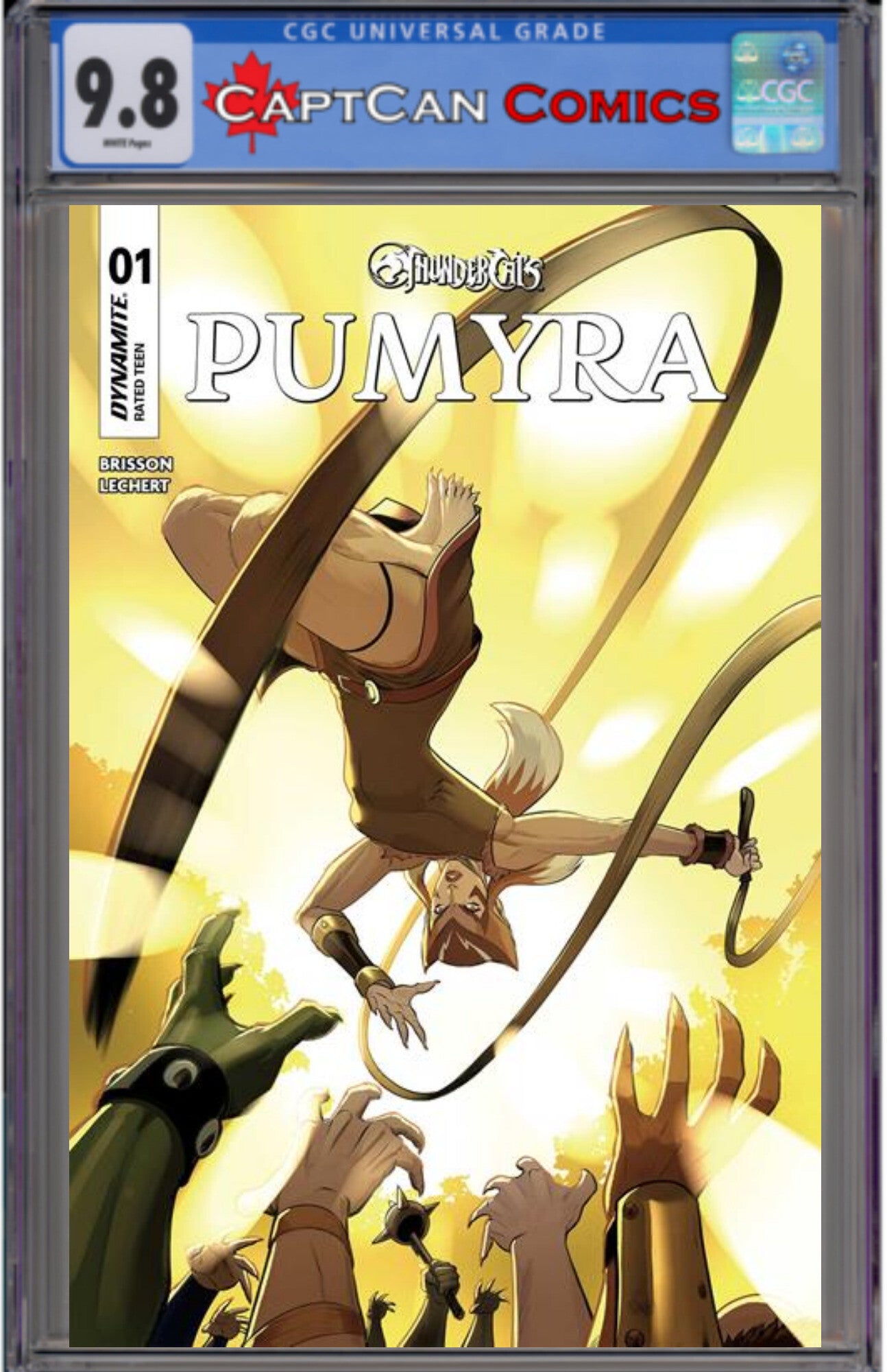 THUNDERCATS PUMYRA #1 CVR C ROBERT QUINN VAR