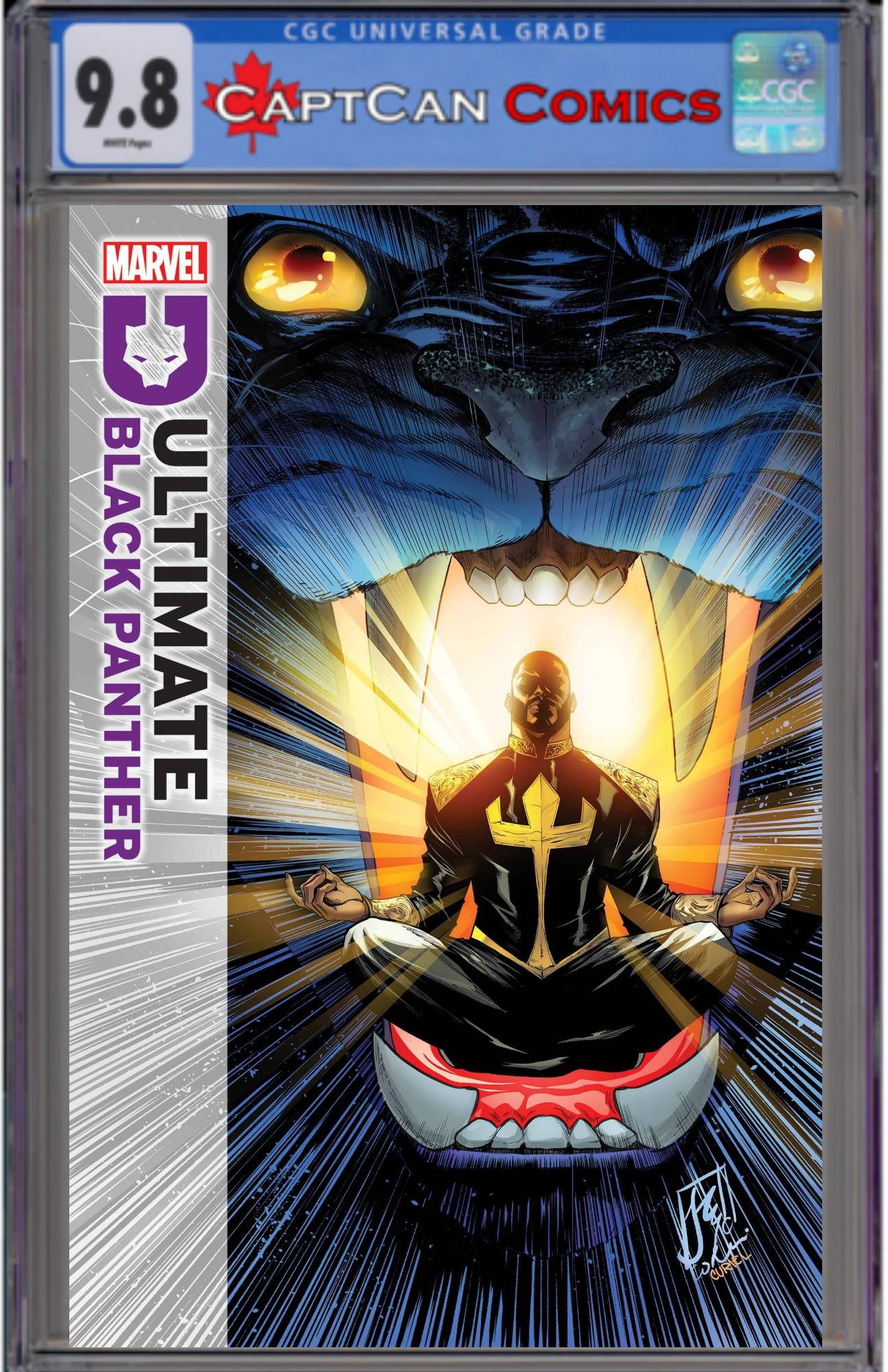 ULTIMATE BLACK PANTHER #6