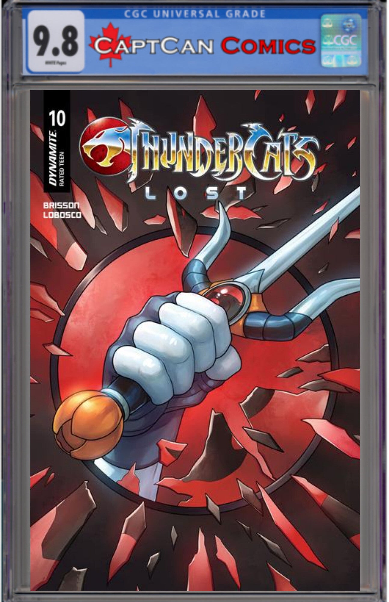 THUNDERCATS LOST #10 CVR C MEGHAN HETRICK VAR