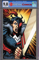 ABSOLUTE WONDER WOMAN #24 CVR C CHRIS BURNHAM CARD STOCK VAR thumbnail