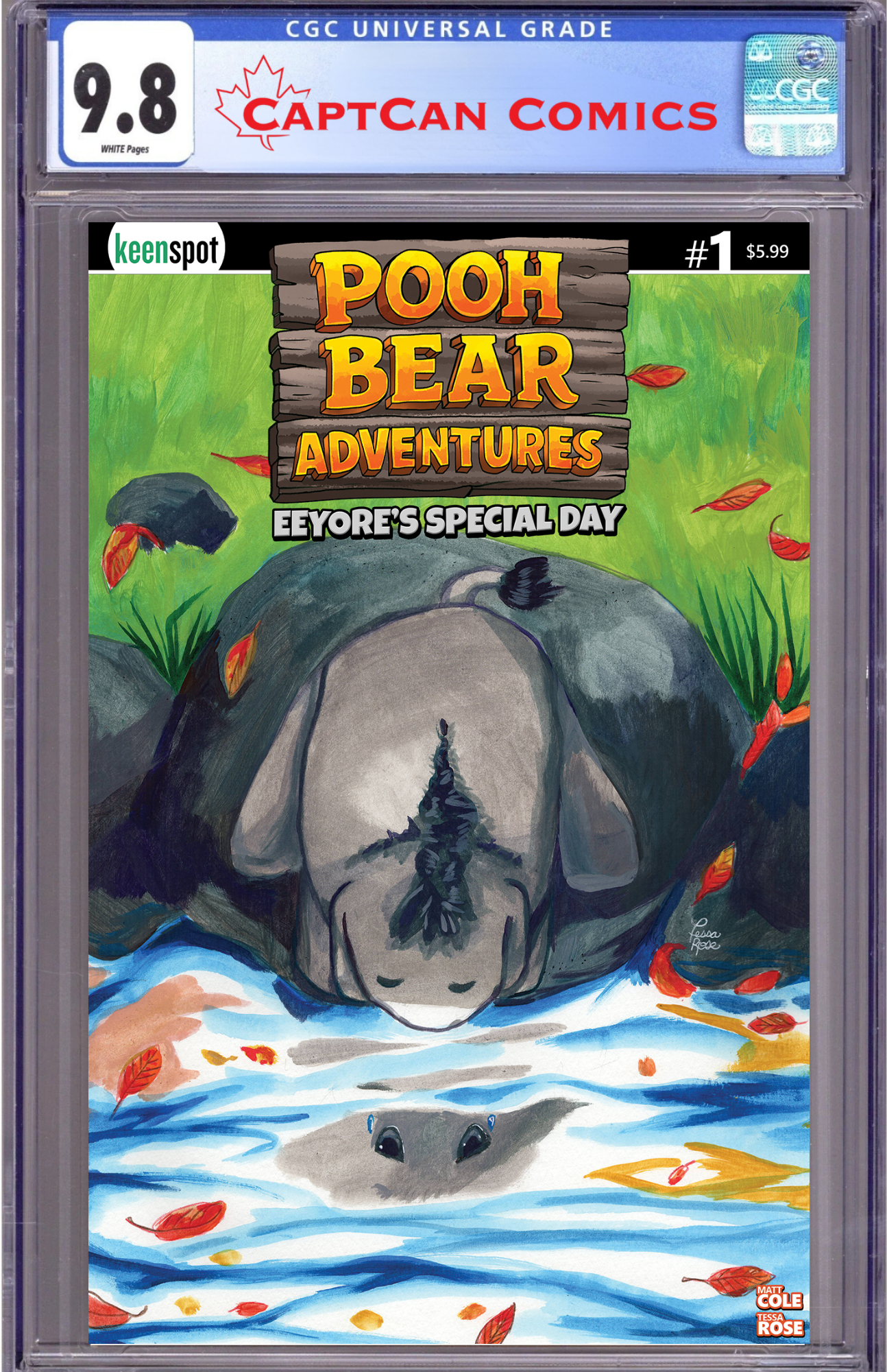 POOH BEAR ADVENTURES EEYORES SPECIAL DAY #1 (ONE SHOT) CVR B TESSA ROSE SAD REFLECTIONS VAR