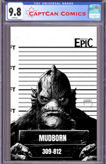 SOMETHING EPIC #17 CVR D SZYMON KUDRANSKI RAW ART VAR thumbnail