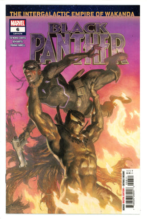 Black Panther Vol 7 6 (178) High Grade (2019)