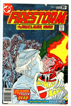 Firestorm Vol 1 3  Low Grade   (1978)