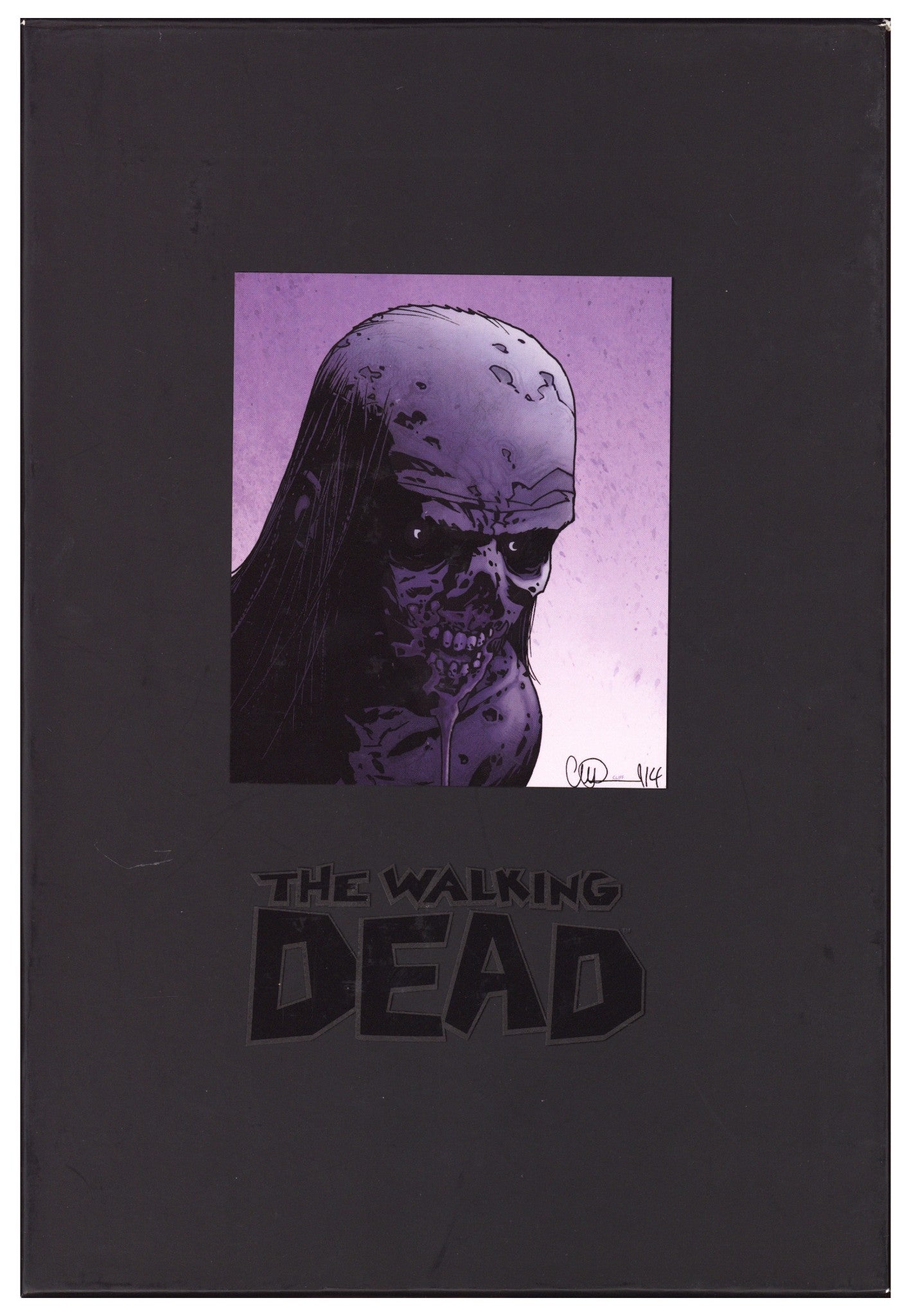 The Walking Dead Omnibus HC Vol 5 5 Mid Grade (2014) 