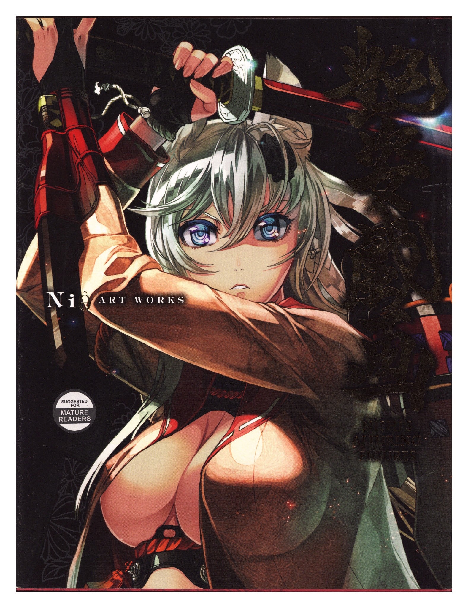 Ni0 Art Works: Nishi's Alluring Figures HC High Grade (2014) 