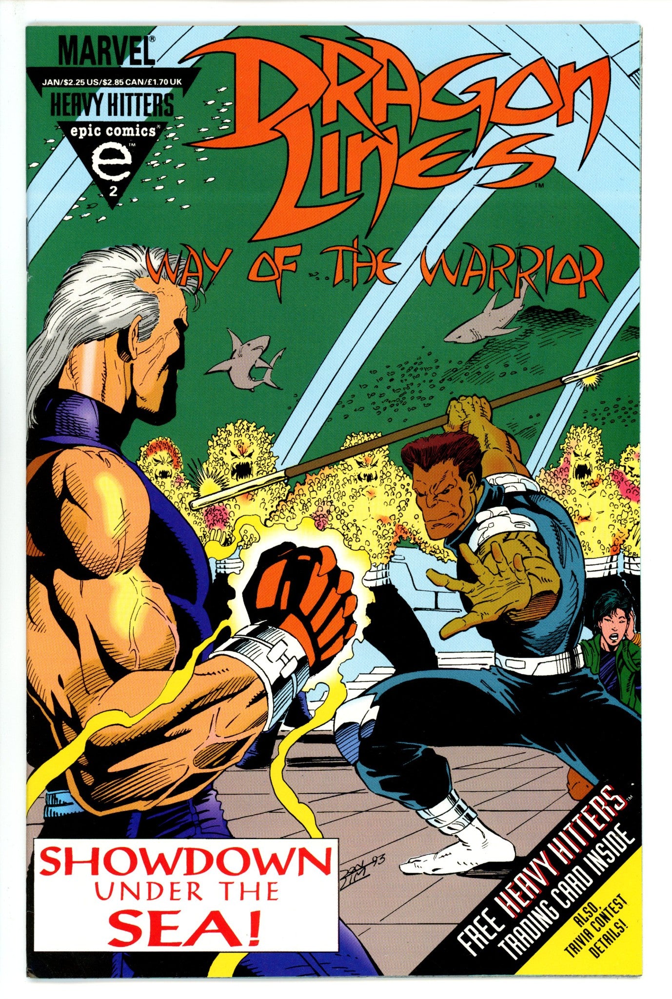 Dragon Lines: The Way of the Warrior 2 (1993)