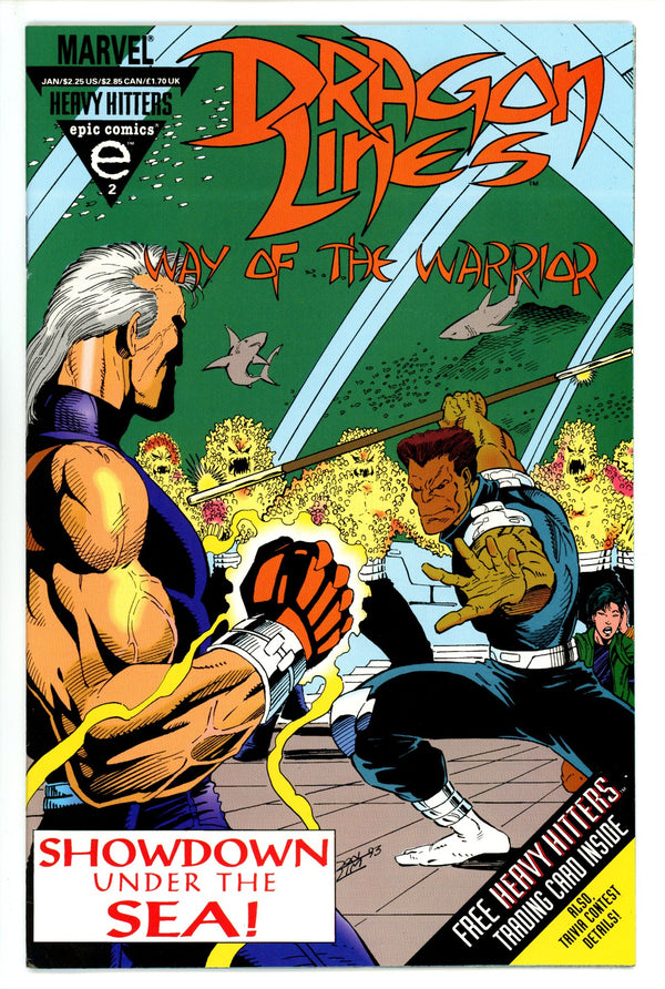 Dragon Lines: The Way of the Warrior 2 (1993)