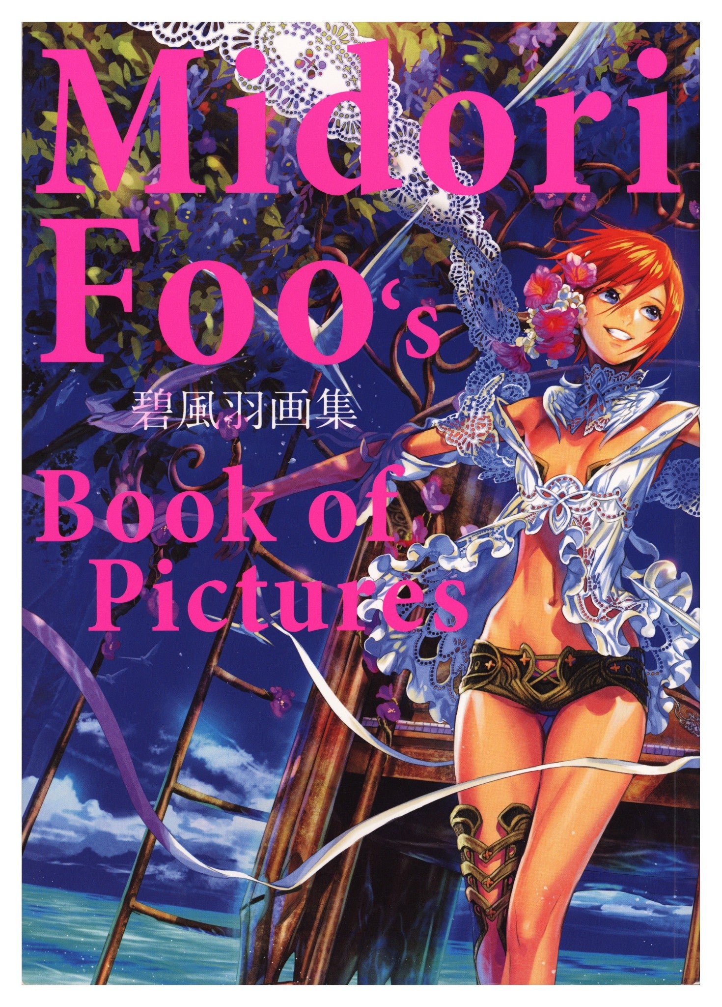 Midori Foo's Book of Pictures Vol [nn] [nn] Mid Grade (2013) 