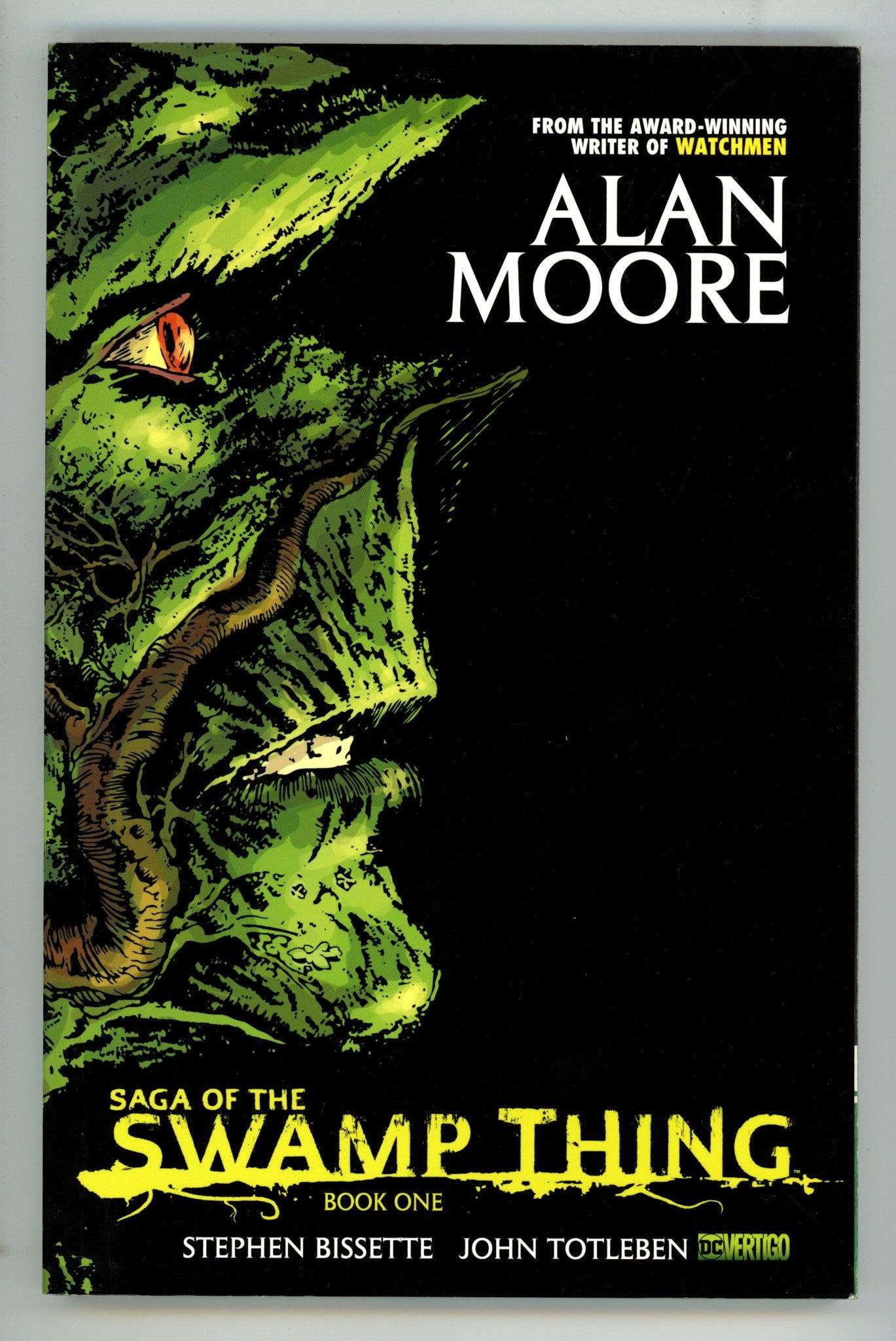 Saga of the Swamp Thing TPB Vol 1 Mid Grade 9th Print (2012) 