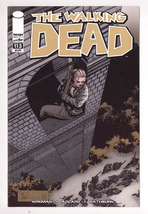 The Walking Dead 113 High Grade (2013)
