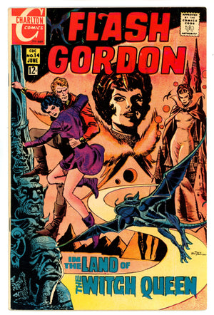 Flash Gordon 14 FN/VF (7.0) (1969)