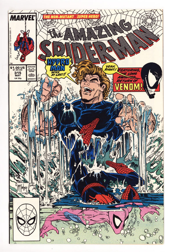 The Amazing Spider-Man Vol 1 315 VF/NM (9.0) (1989)