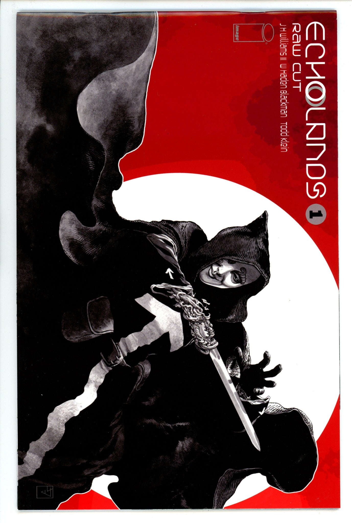 Echolands: Raw Cut Edition 1 High Grade (2021) III Variant 